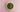 Matcha powder